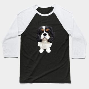 Cavalier King Charles Spaniel Tri Baseball T-Shirt